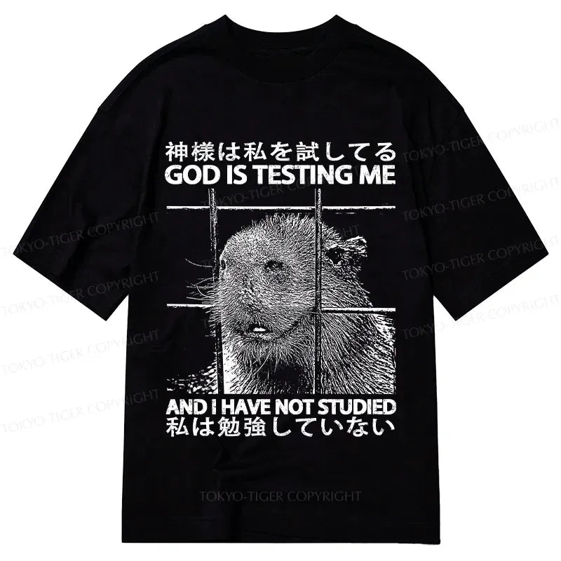 Comfortable Japanese Lion T-Shirt for Daily Wear