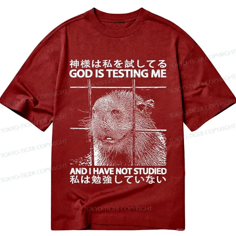Comfortable Japanese Lion T-Shirt for Daily Wear