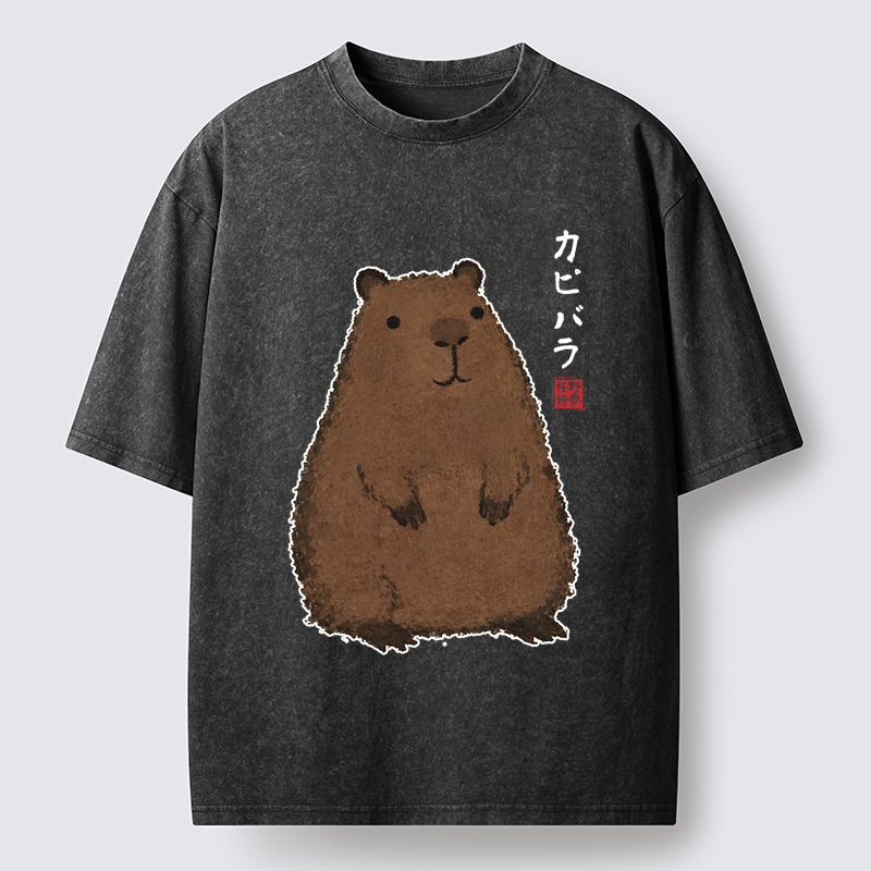 japanese washed t-shirt for daily wear