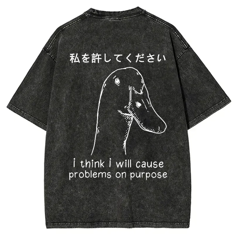 kyoto lion washed unisex tee