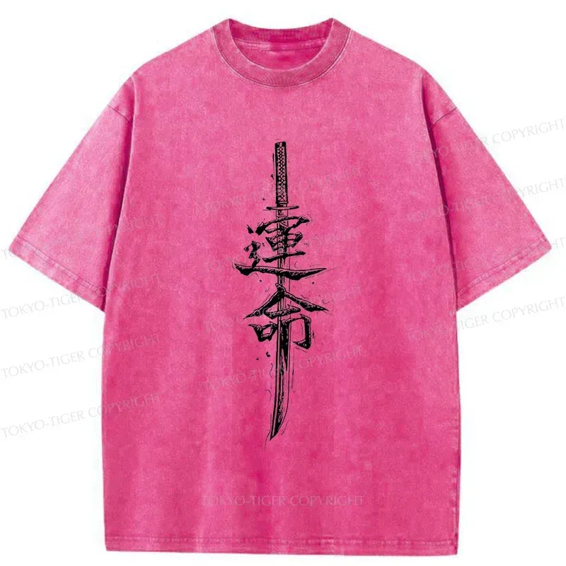 Kyoto Lion Vintage Tee for Daily Wear