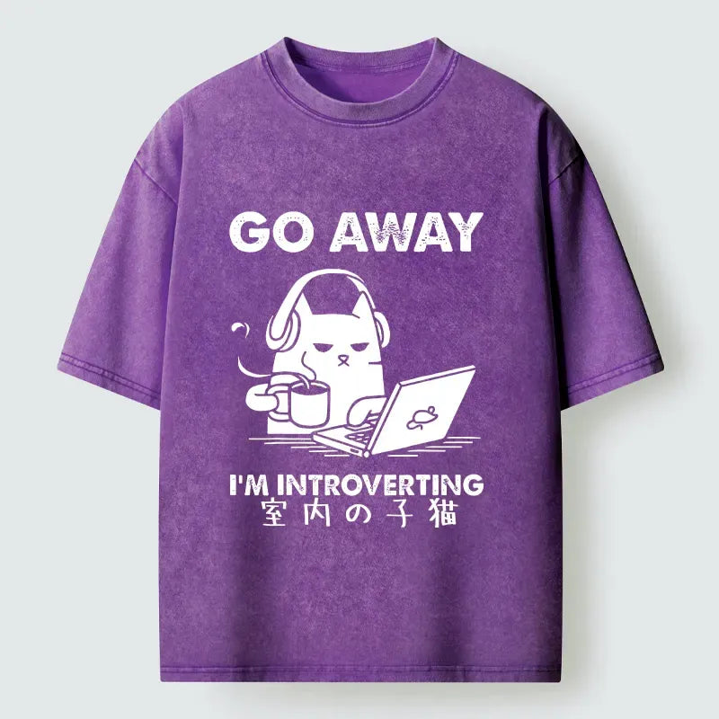 Kyoto Lion Japanese Streetwear Comfortable T-Shirt