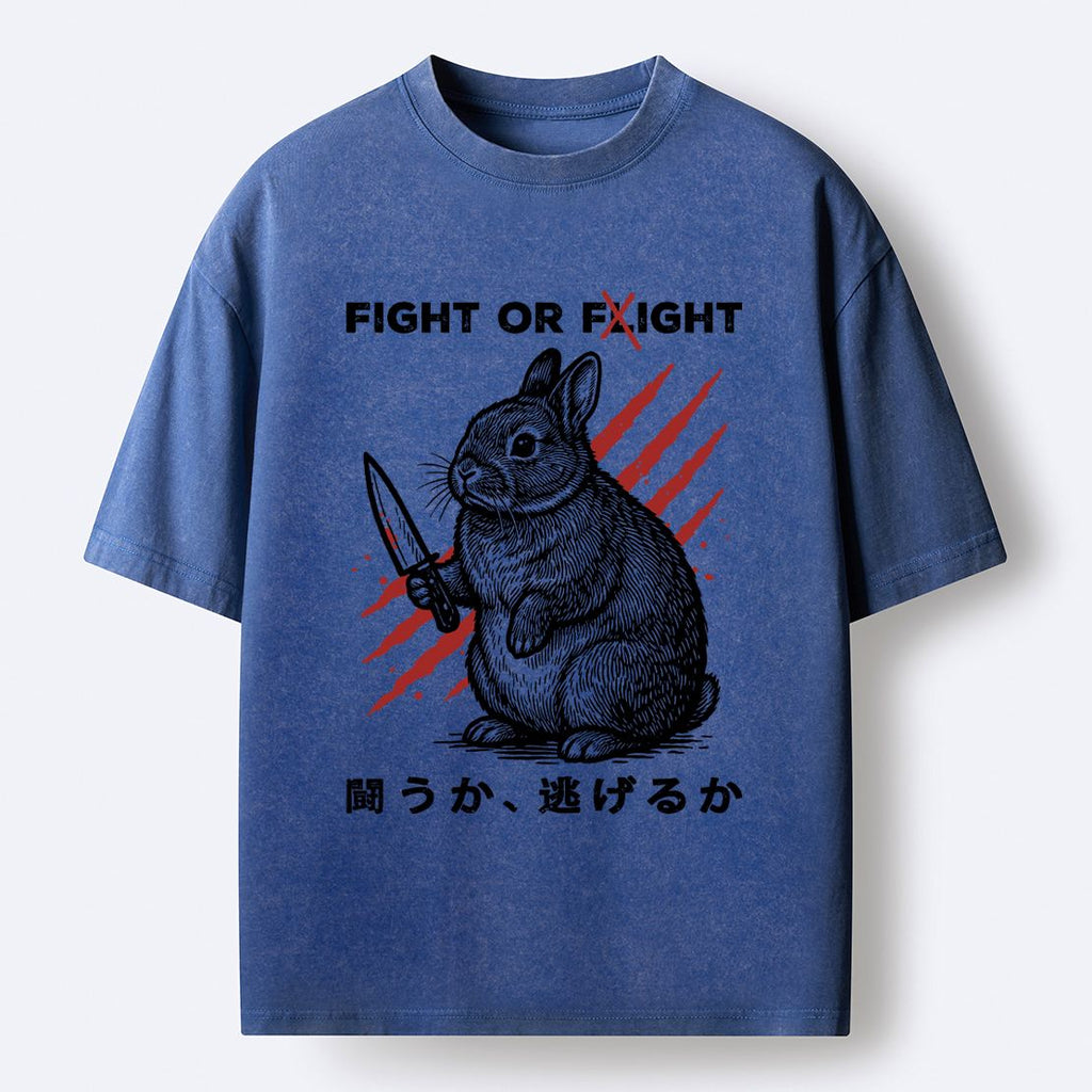 Kyoto lion vintage t-shirt on sale