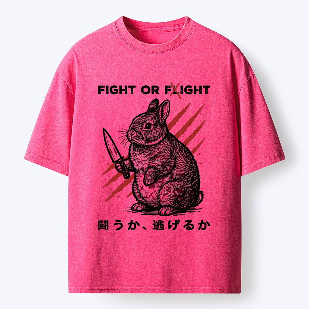 Kyoto lion vintage t-shirt on sale