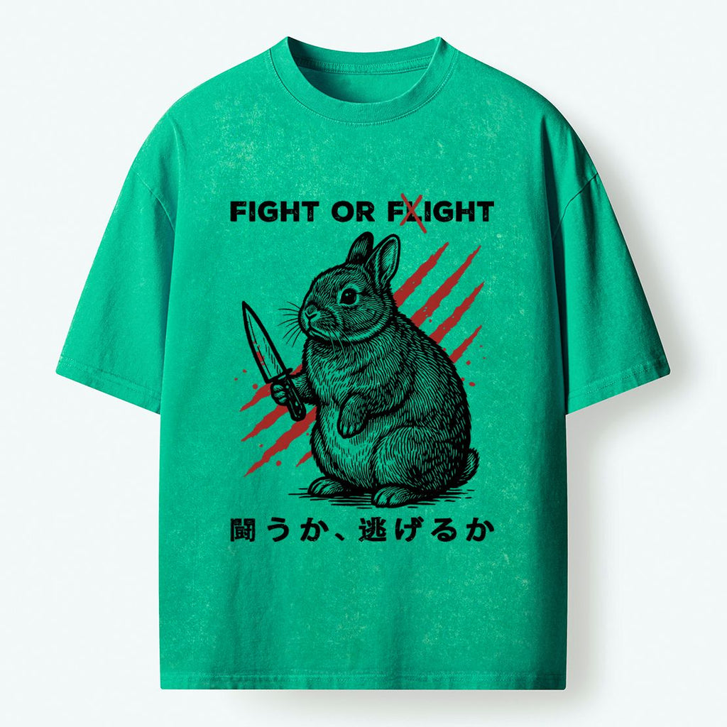 Kyoto lion vintage t-shirt on sale