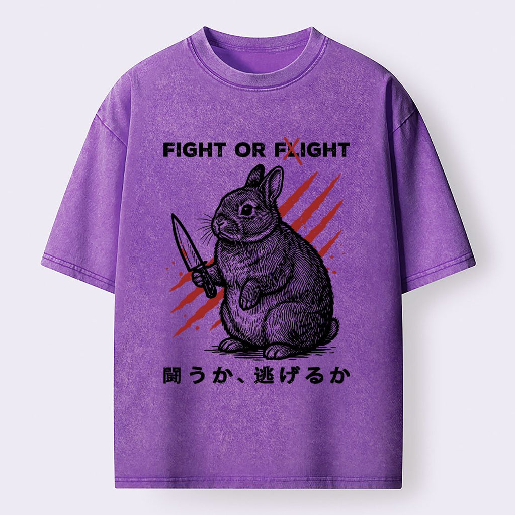 Kyoto lion vintage t-shirt on sale