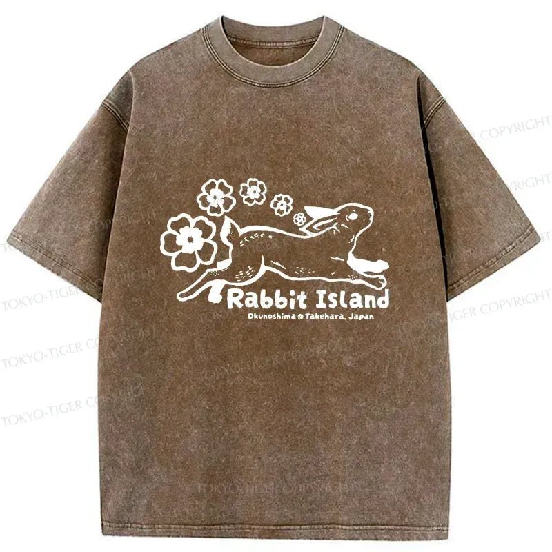 Kyoto Lion Washed T-Shirt Streetwear