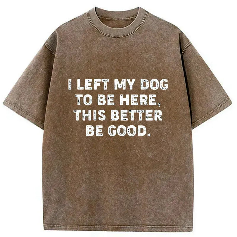 Kyoto-Lion Funny Dog Owner Quote Washed T-Shirt