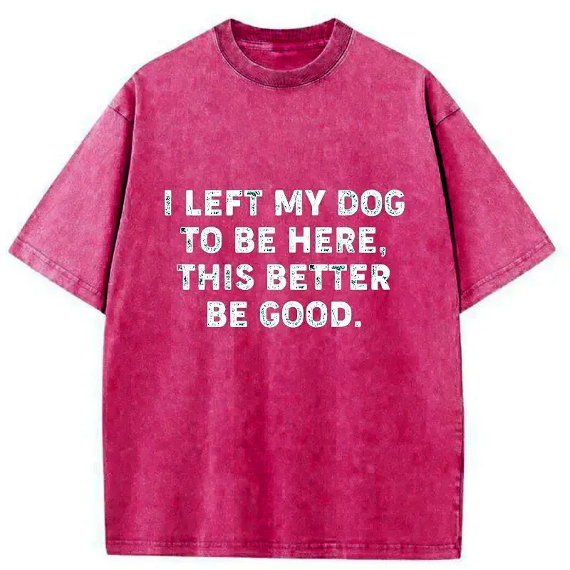 Kyoto-Lion Funny Dog Owner Quote Washed T-Shirt