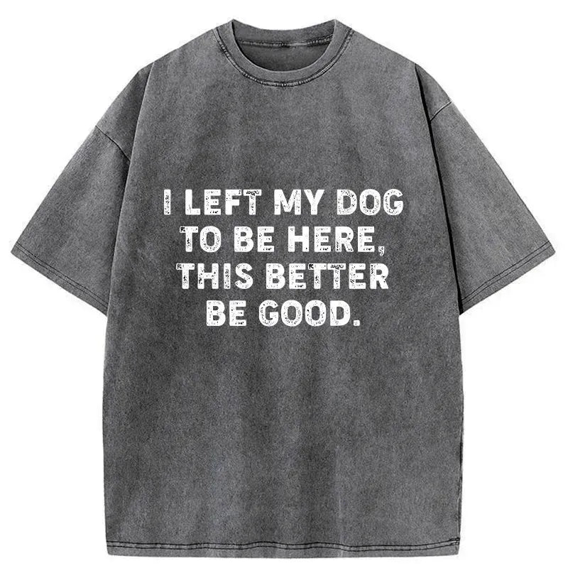 Funny Dog Owner Quote Washed T-Shirt