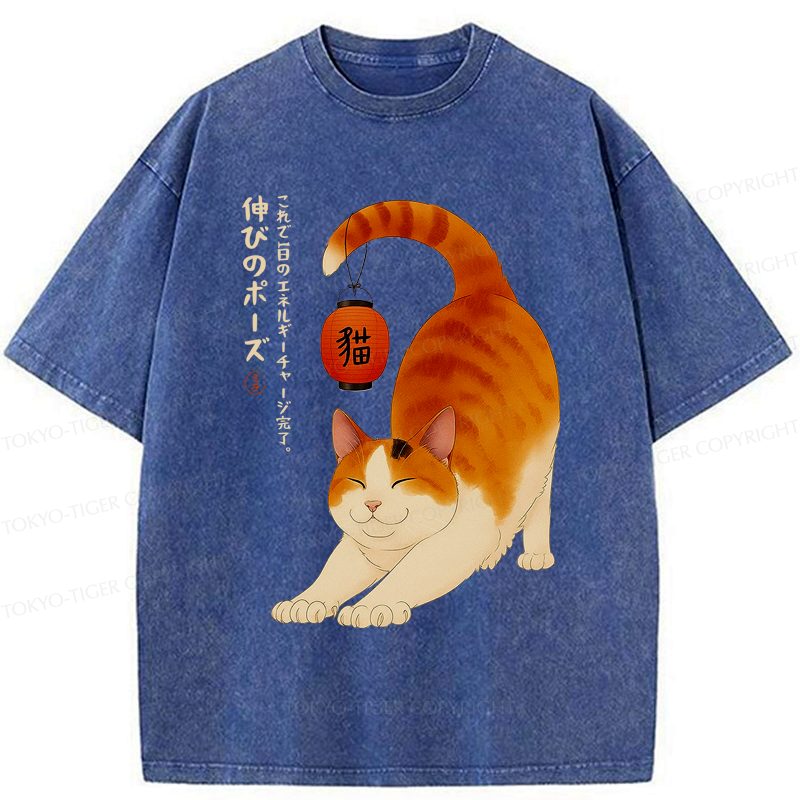 Funny Cat Washed T-Shirt for Yoga
