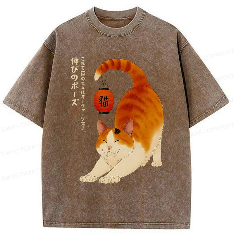 Funny Cat Washed T-Shirt for Yoga