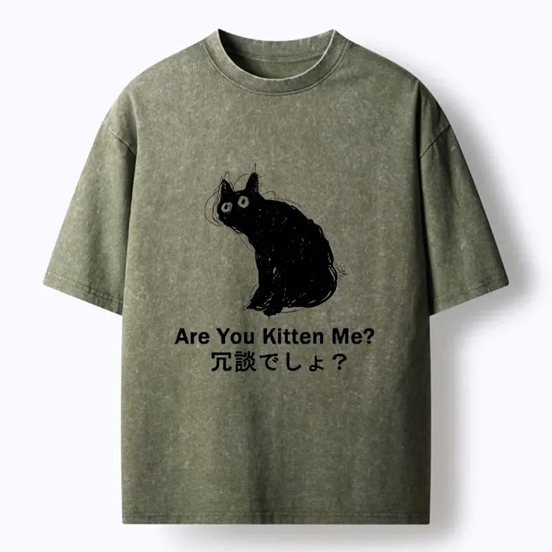 Funny Japanese Culture T-Shirt Gift Idea