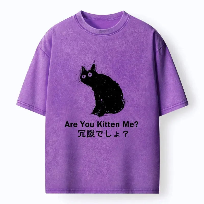 Kyoto-Lion Are You Kitten Me Pun Art Washed T-Shirt