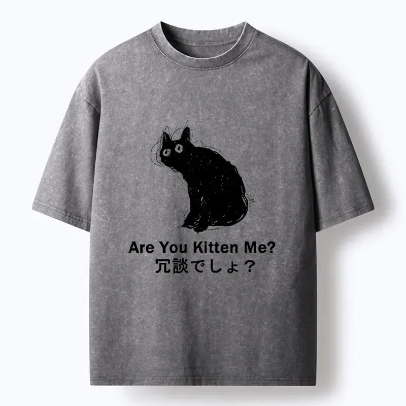 Kyoto-Lion Are You Kitten Me Pun Art Washed T-Shirt