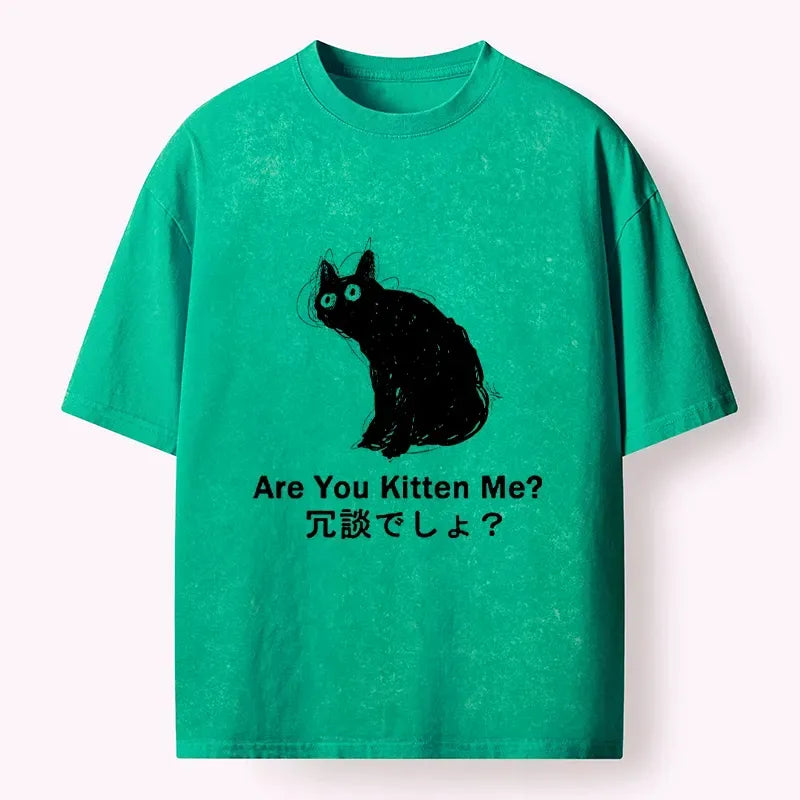 Kyoto Lion Pun Art T-Shirt Best Seller