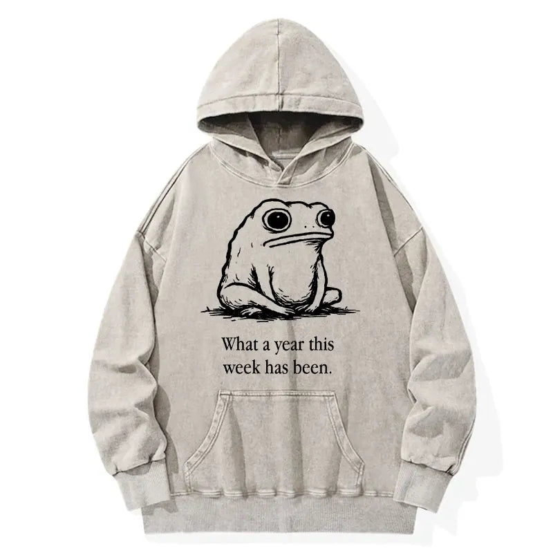 Kyoto-Lion Washed Hoodie for Daily Wear