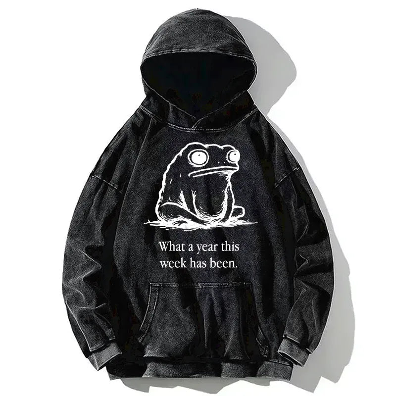Premium Japanese Culture Kyoto-Lion Hoodie