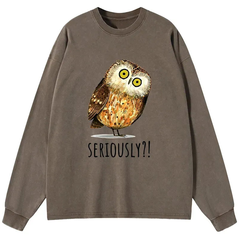 Seriously Confused Owl Meme Long Sleeve T-Shirt