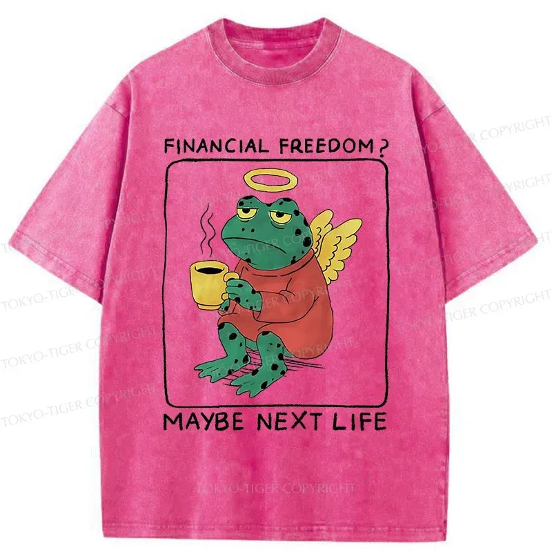 Kyoto-Lion Frog Imagining The Future Washed T-Shirt