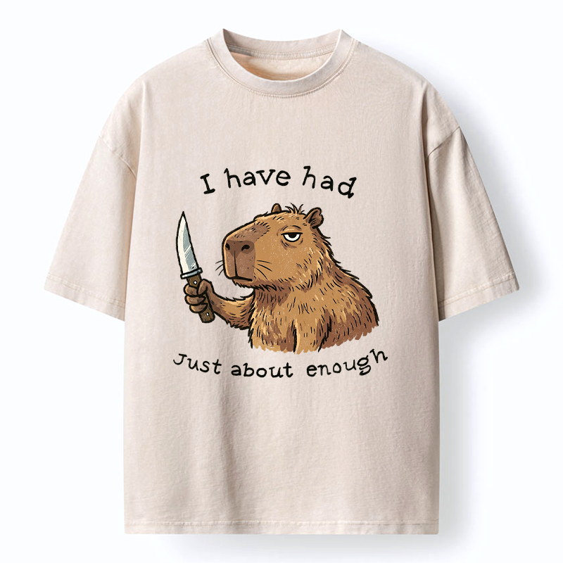 Kyoto-Lion Mr. Nice Guy Had Enough Washed T-Shirt