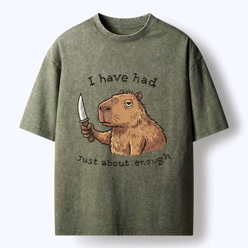 Kyoto-Lion Nice Guy Tee for Daily Wear