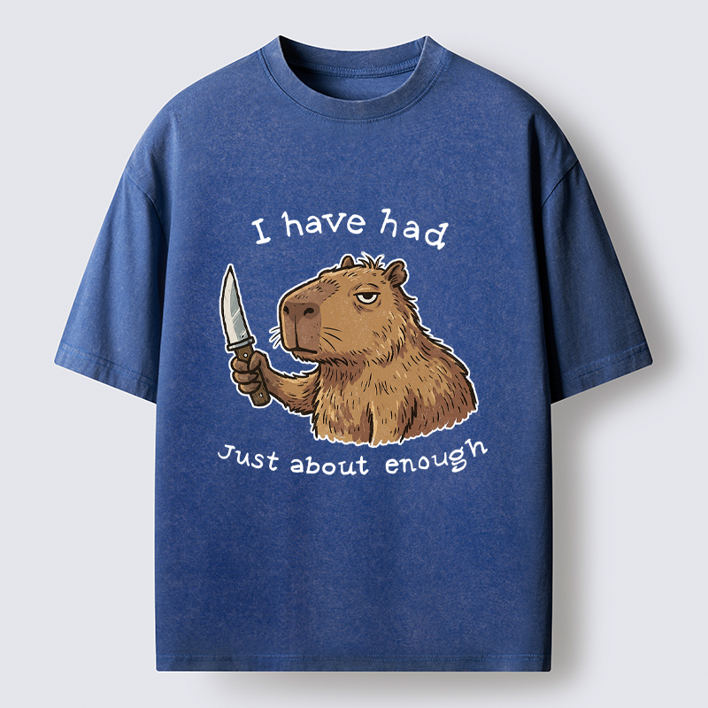 Kyoto-Lion Mr. Nice Guy Had Enough Washed T-Shirt