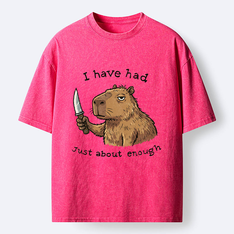 Kyoto-Lion Nice Guy Tee for Daily Wear