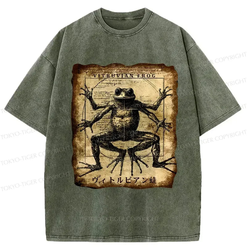 Kyoto lion washed t-shirt gift idea