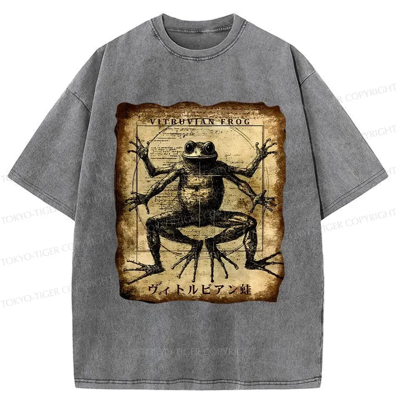 Kyoto lion washed t-shirt gift idea