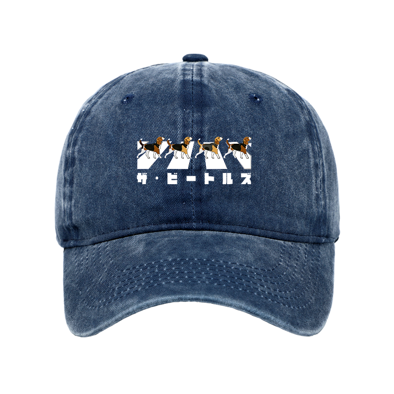 Kyoto Lion Cap Gift for Him