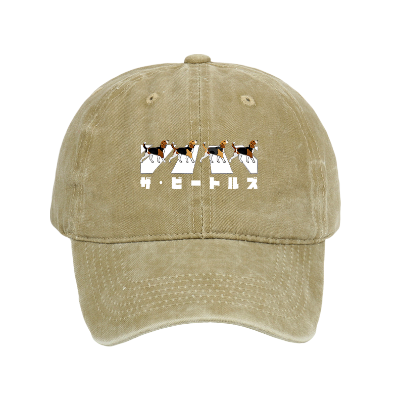 Kyoto Lion Cap Gift for Him