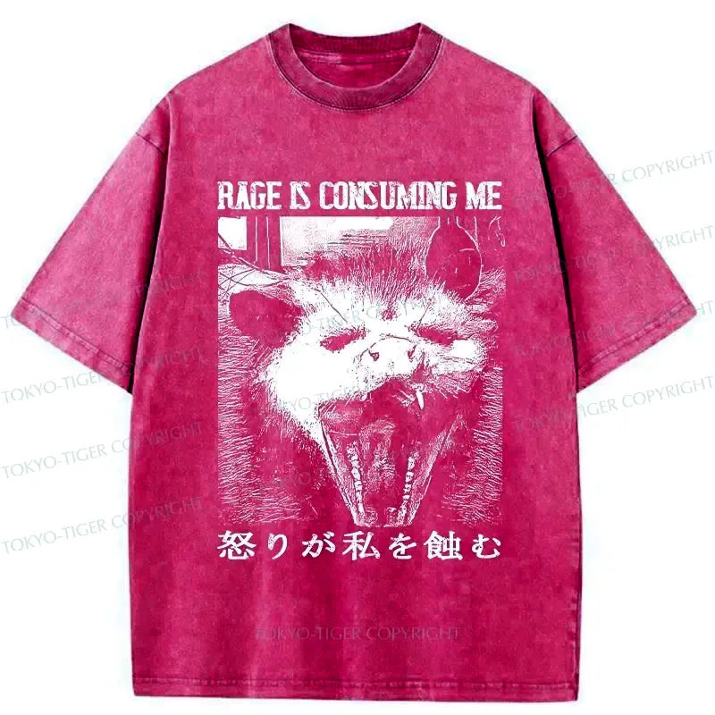 Kyoto-Lion Rage Is Consuming Me Opossum Washed T-Shirt