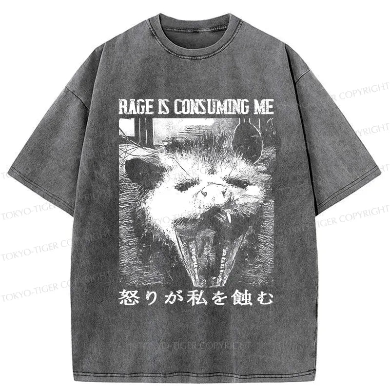 kyoto lion washed tee for summer