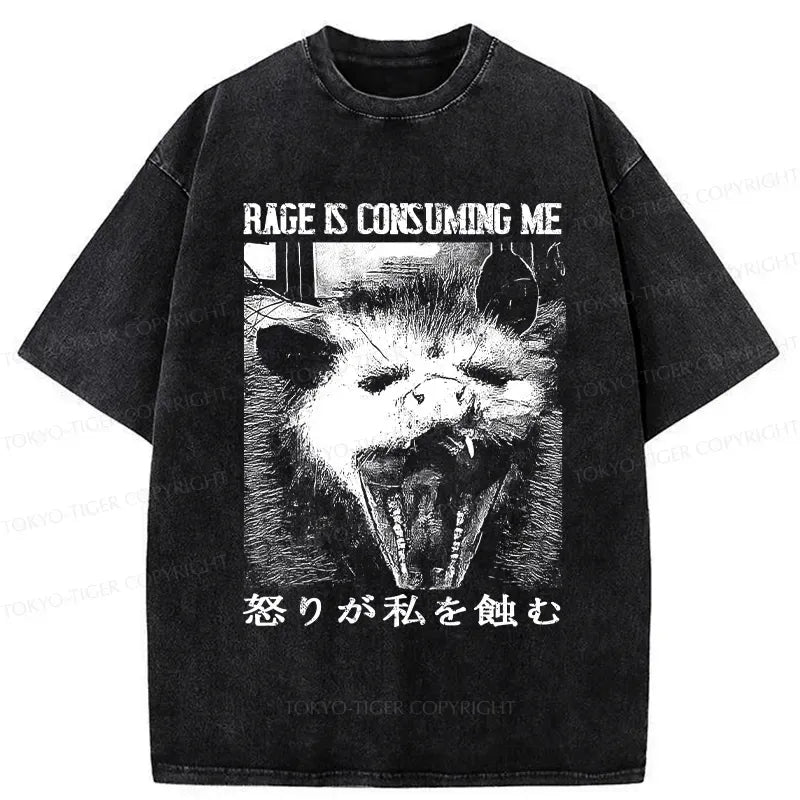 unisex japanese streetwear shirt with free shipping
