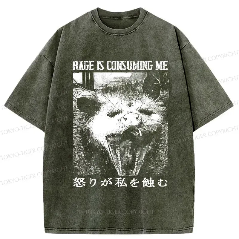Kyoto-Lion Rage Is Consuming Me Opossum Washed T-Shirt