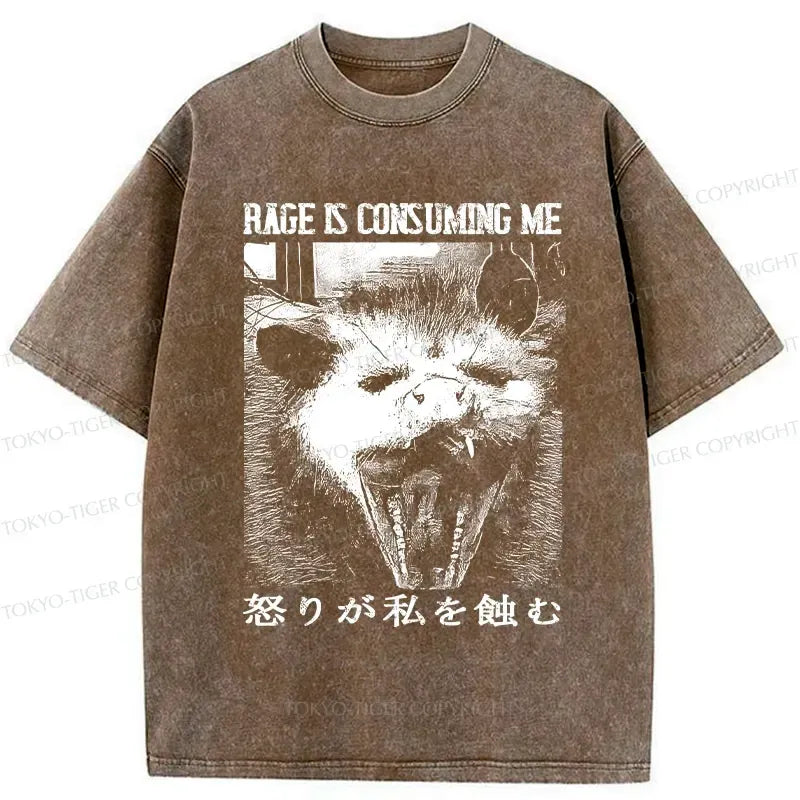kyoto lion washed tee for summer