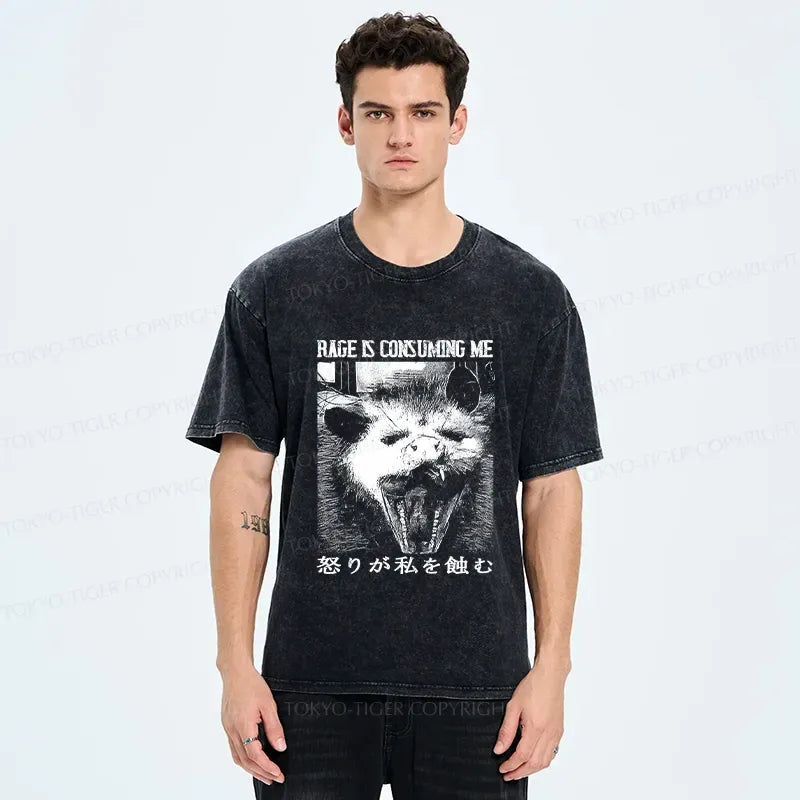kyoto lion washed tee for summer
