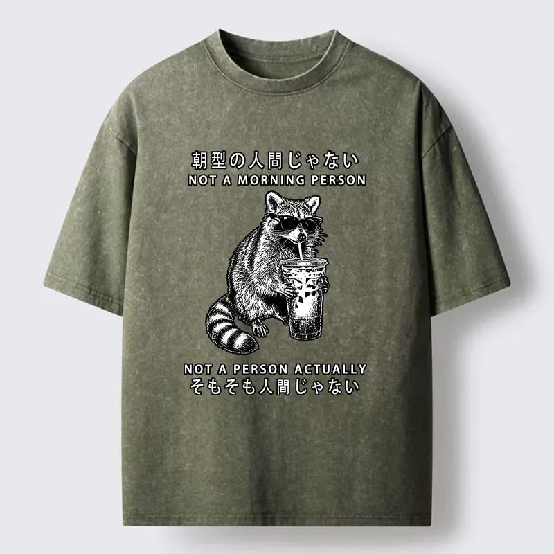 Funny Raccoon Washed T-Shirt for Everyday Wear