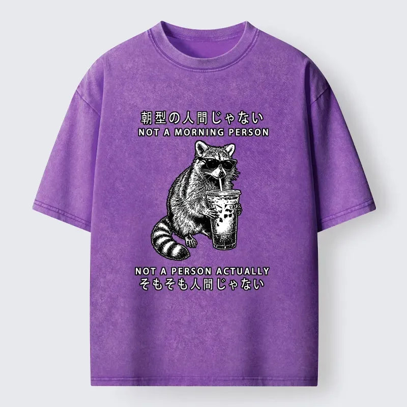 Funny Raccoon Washed T-Shirt for Everyday Wear
