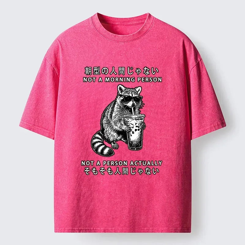 Funny Raccoon Washed T-Shirt for Everyday Wear