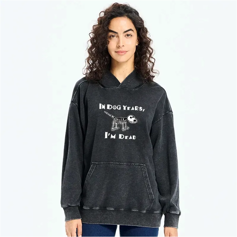Kyoto-Lion Funny Meme Old Dog Dead In Dog Years Vibe Washed Hoodie