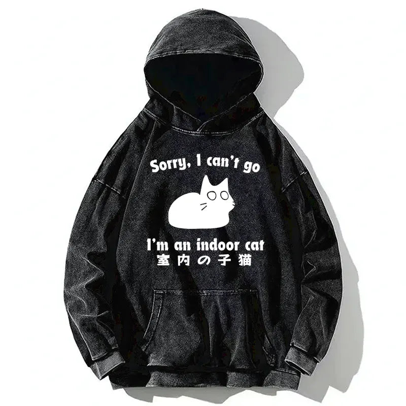 Kyoto Lion Kitten Hoodie for Daily Wear