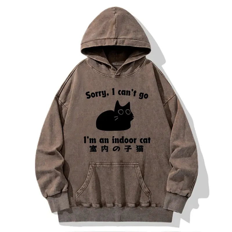 Kyoto Lion Kitten Hoodie for Daily Wear