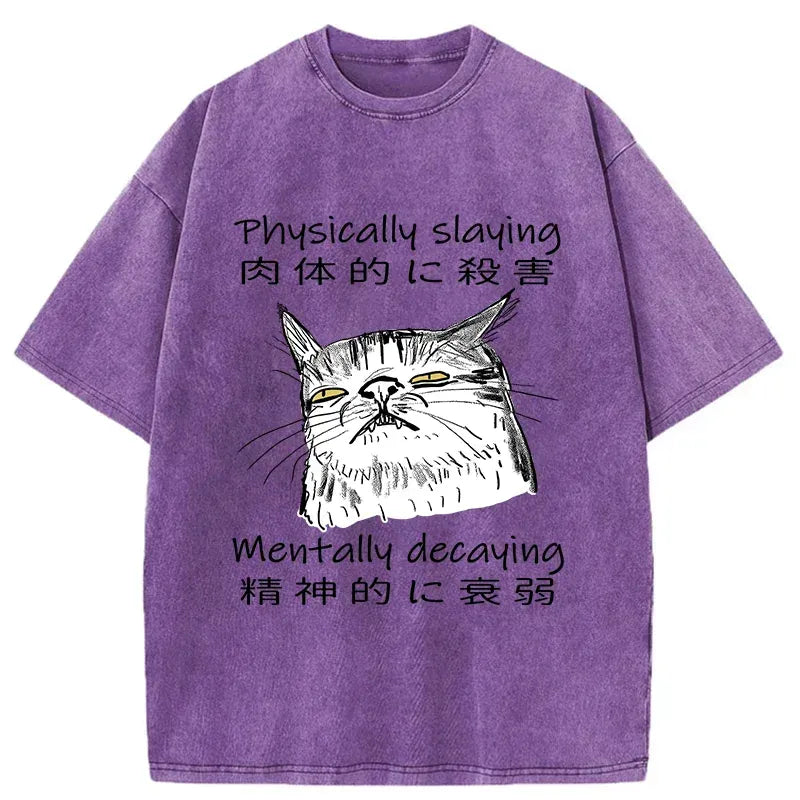 mentally decaying cat t-shirt for anime convention