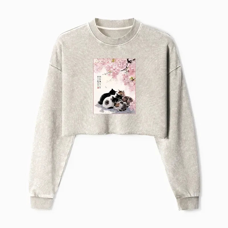 washed crop sweatshirt spring sale