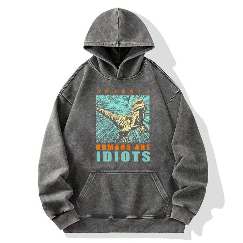 Kyoto-Lion Mocking Dinosaurs Japanese Washed Hoodie