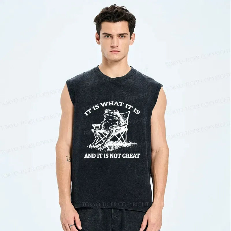 Kyoto Lion Resting Frog Tank for Casual Outfit