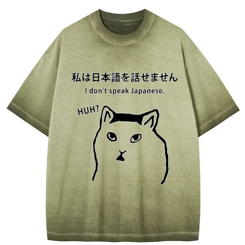 i dont speak japanese gradient washed t-shirt