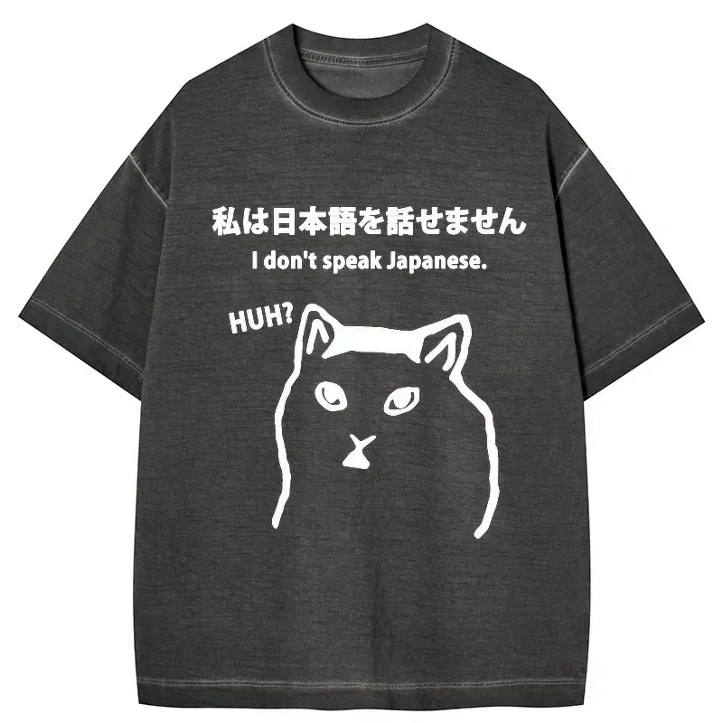Kyoto-Lion I Don't Speak Japanese Gradient Washed T-Shirt